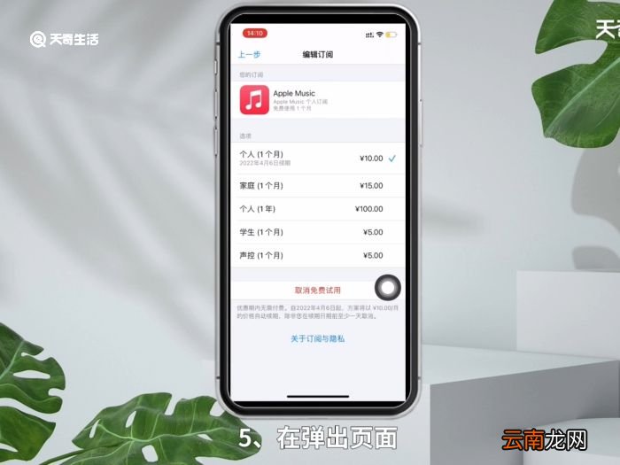 苹果手机在哪取消自动续费 苹果手机取消自动续费