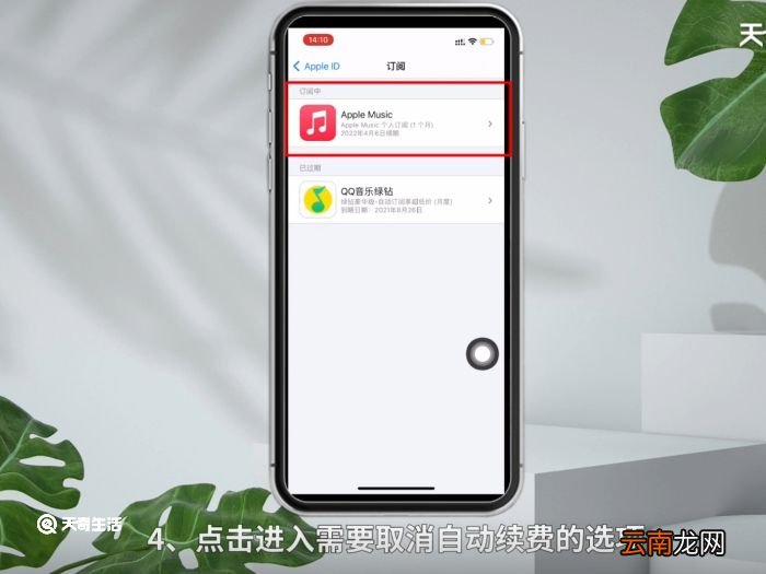 苹果手机在哪取消自动续费 苹果手机取消自动续费