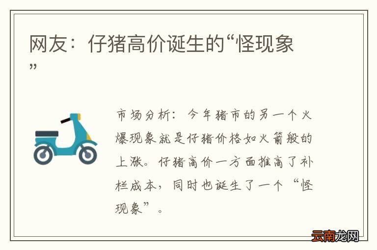 网友：仔猪高价诞生的“怪现象”