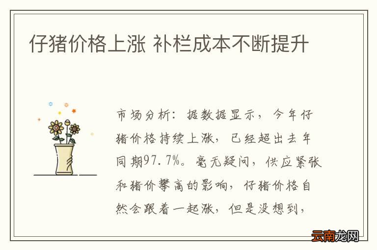 仔猪价格上涨 补栏成本不断提升