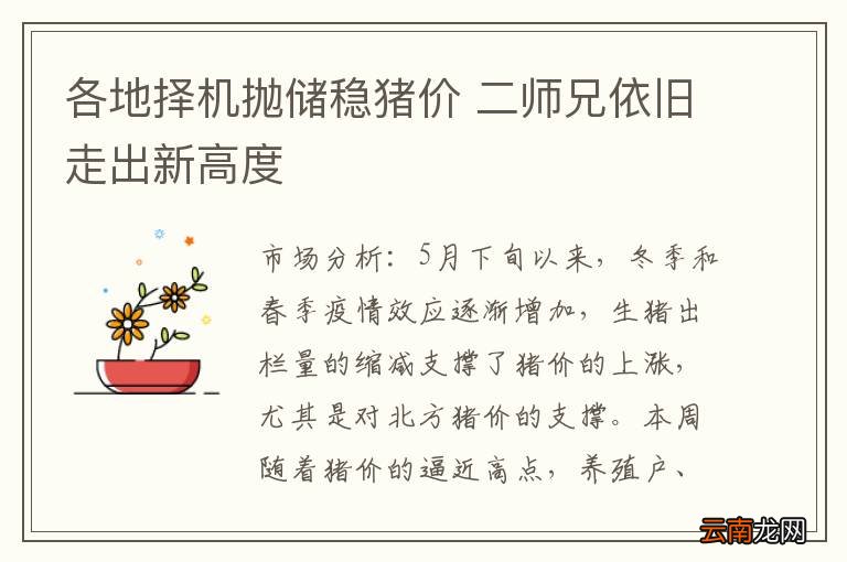 各地择机抛储稳猪价 二师兄依旧走出新高度