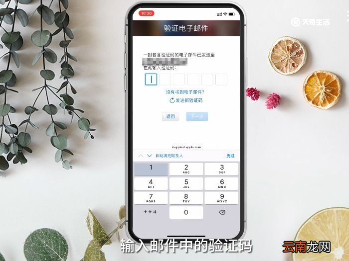 苹果ID账号格式 苹果ID账号是什么格式