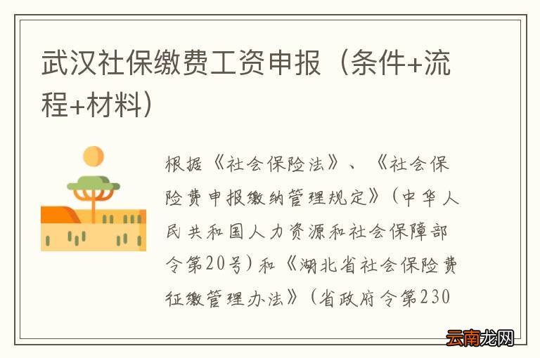 条件+流程+材料 武汉社保缴费工资申报