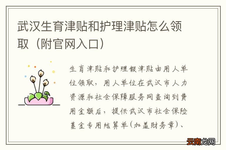 附官网入口 武汉生育津贴和护理津贴怎么领取