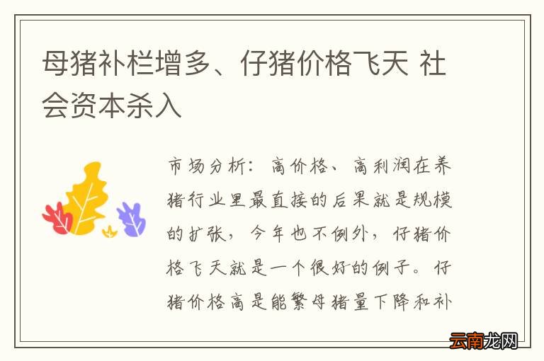 母猪补栏增多、仔猪价格飞天 社会资本杀入