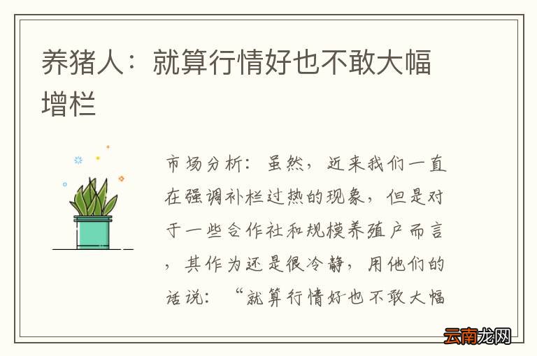 养猪人：就算行情好也不敢大幅增栏