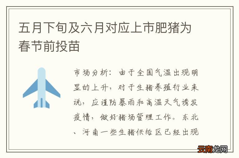 五月下旬及六月对应上市肥猪为春节前投苗