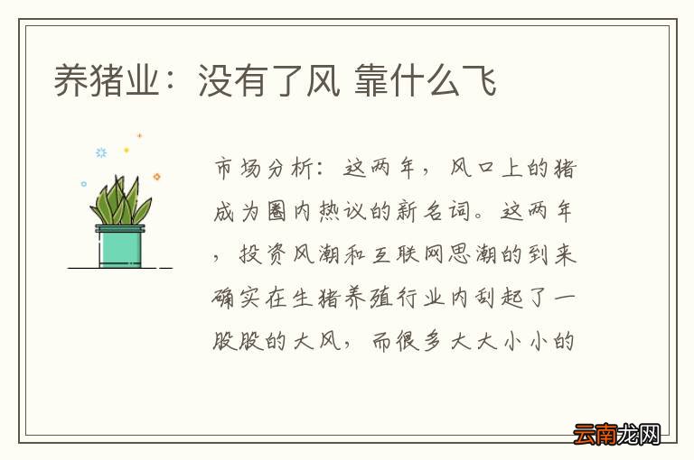 养猪业：没有了风 靠什么飞