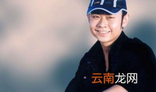 冲动的惩罚原唱 一首很好听的歌曲