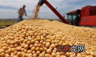 广西粮补发放时间 关于广西的简介