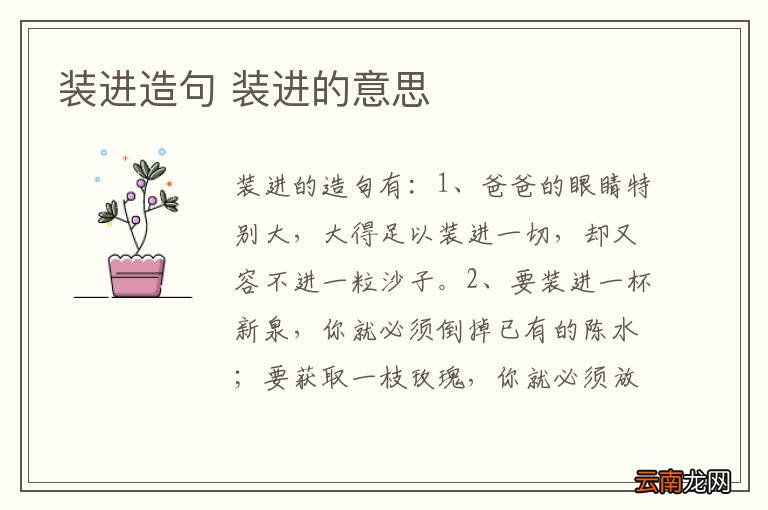 装进造句 装进的意思