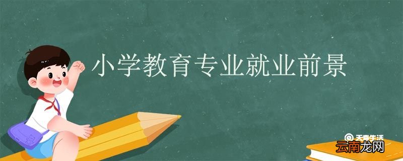 小学教育专业就业前景 小学教育专业就业方向