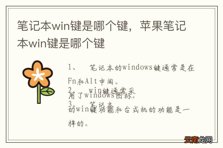 笔记本win键是哪个键，苹果笔记本win键是哪个键