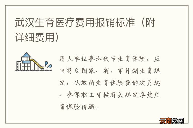 附详细费用 武汉生育医疗费用报销标准
