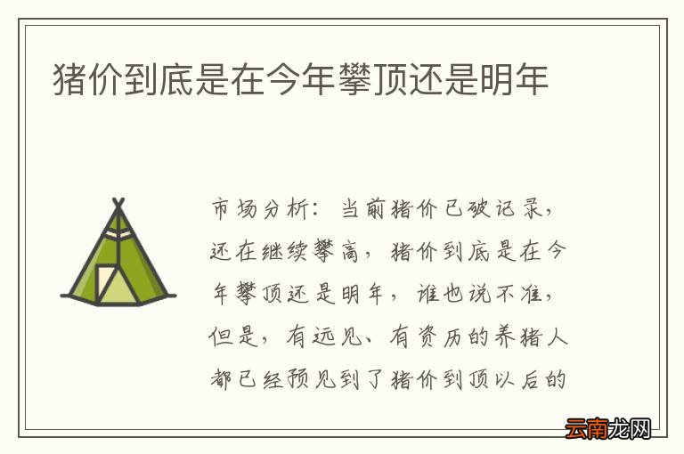 猪价到底是在今年攀顶还是明年