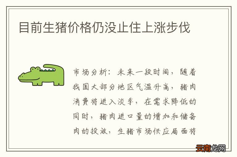 目前生猪价格仍没止住上涨步伐