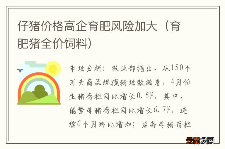育肥猪全价饲料 仔猪价格高企育肥风险加大
