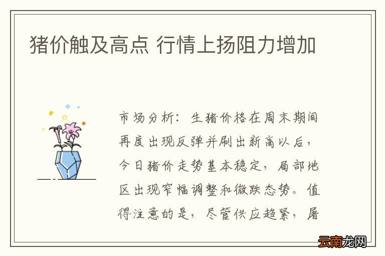 猪价触及高点 行情上扬阻力增加
