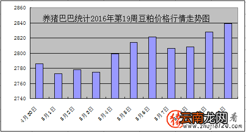 猪价涨势火热 “储备肉”对猪价有何影响