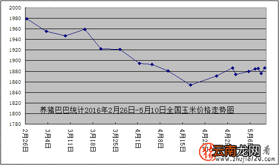 猪价涨势火热 “储备肉”对猪价有何影响