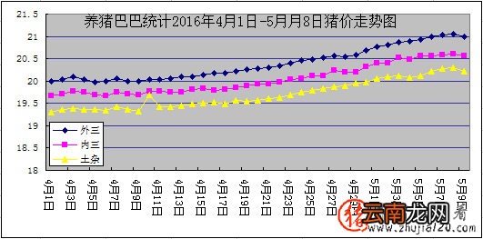猪价涨势火热 “储备肉”对猪价有何影响