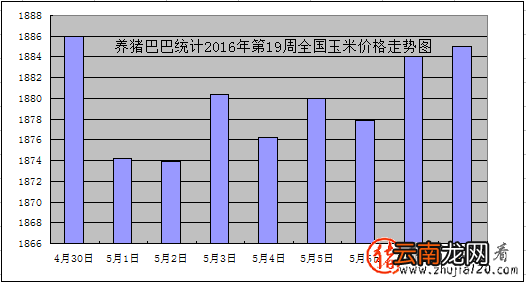 猪价涨势火热 “储备肉”对猪价有何影响