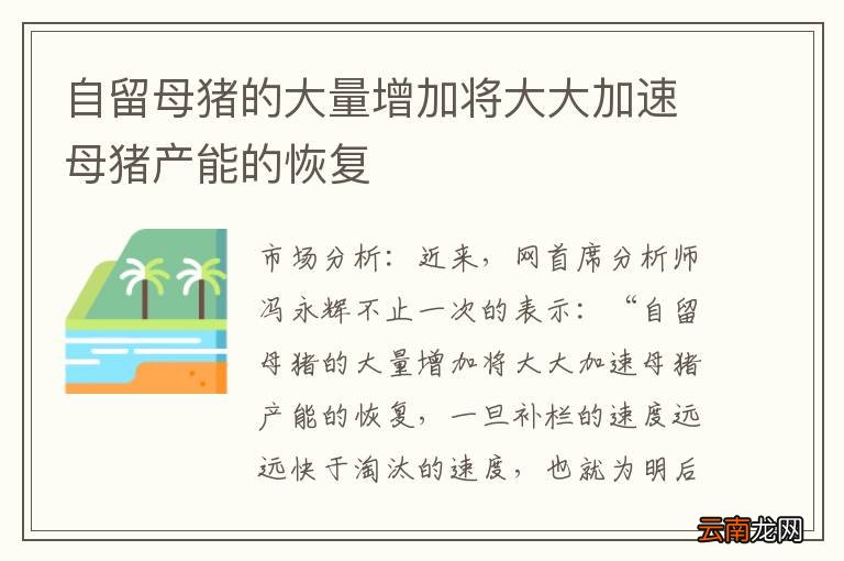 自留母猪的大量增加将大大加速母猪产能的恢复