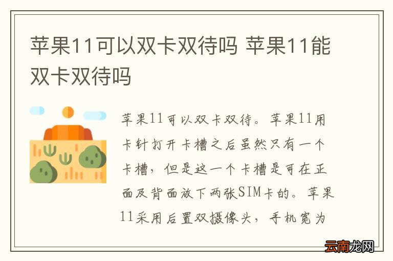 苹果11可以双卡双待吗 苹果11能双卡双待吗