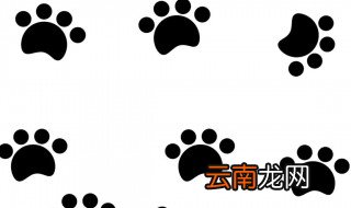 梅花脚印是什么动物 什么动物是梅花脚印