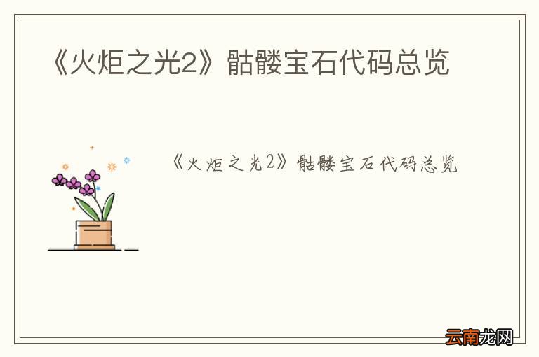 《火炬之光2》骷髅宝石代码总览