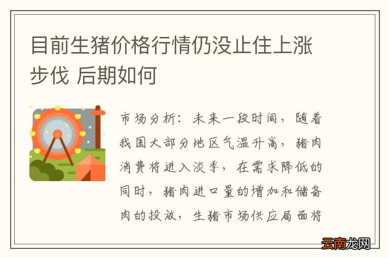 目前生猪价格行情仍没止住上涨步伐 后期如何