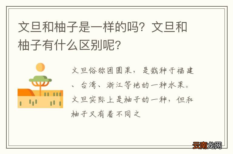 文旦和柚子是一样的吗？文旦和柚子有什么区别呢?