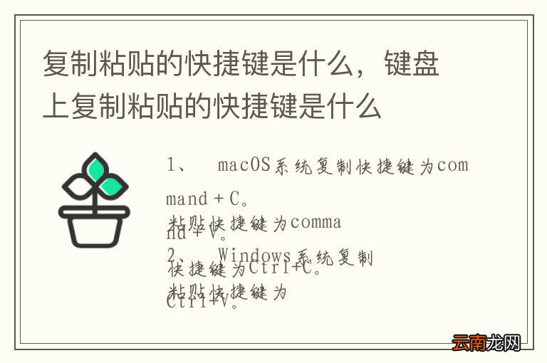 复制粘贴的快捷键是什么，键盘上复制粘贴的快捷键是什么