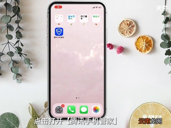 苹果属性 苹果属性在哪里查看