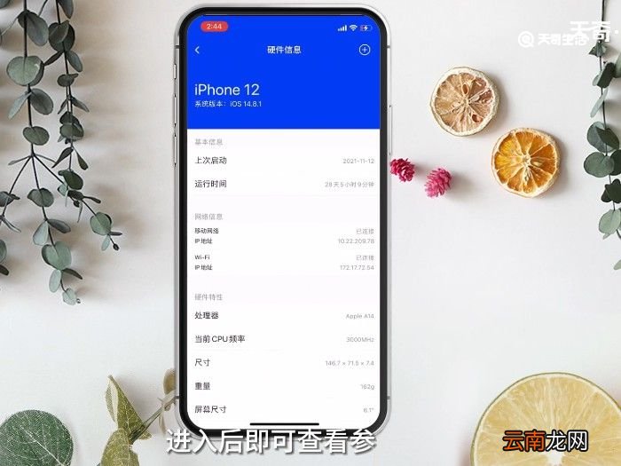 苹果属性 苹果属性在哪里查看