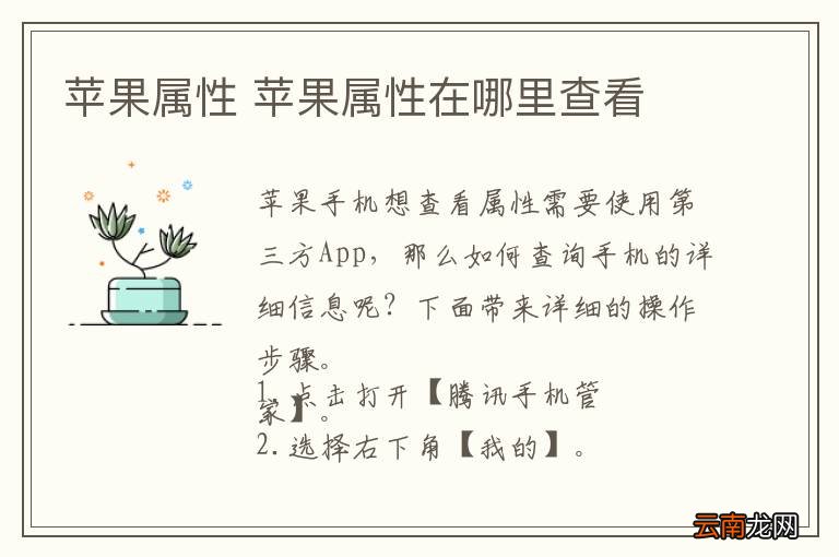 苹果属性 苹果属性在哪里查看