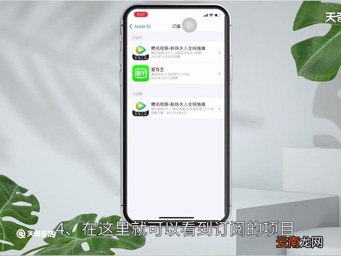 爱奇艺的自动续费怎么关闭,爱奇艺关闭自动续费怎么弄