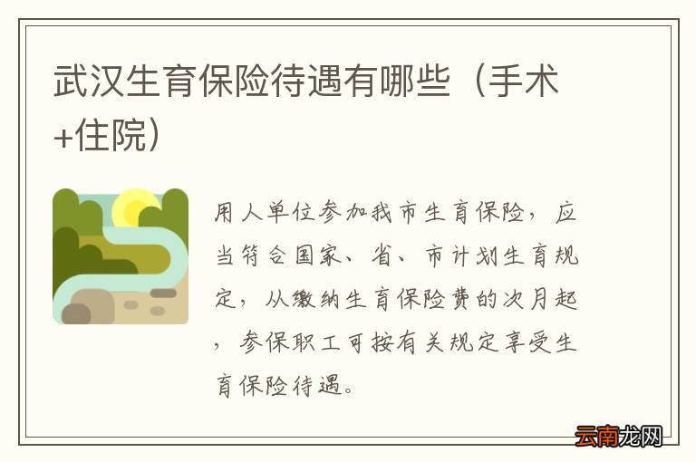 手术+住院 武汉生育保险待遇有哪些