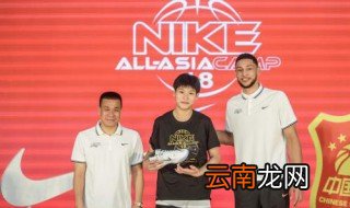 女篮陈明伶资料 荣获荣誉