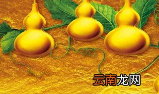财神爷用什么水果招财 懂这些很重要