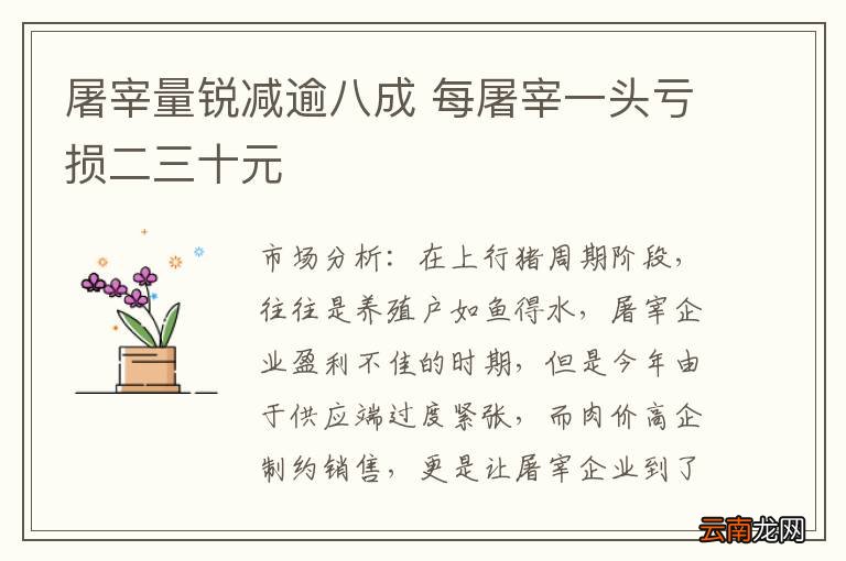 屠宰量锐减逾八成 每屠宰一头亏损二三十元