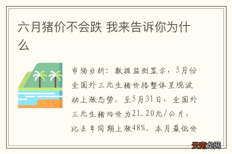 六月猪价不会跌 我来告诉你为什么