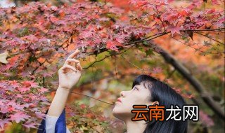 拍红叶穿什么颜色衣服 一起来了解吧