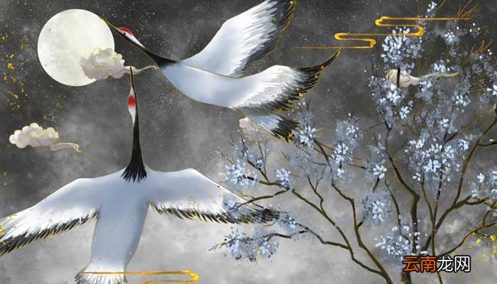 枫桥夜泊古诗赏析 枫桥夜泊古诗的赏析