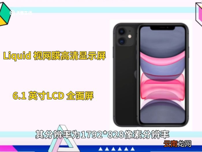 苹果11长宽 苹果11尺寸