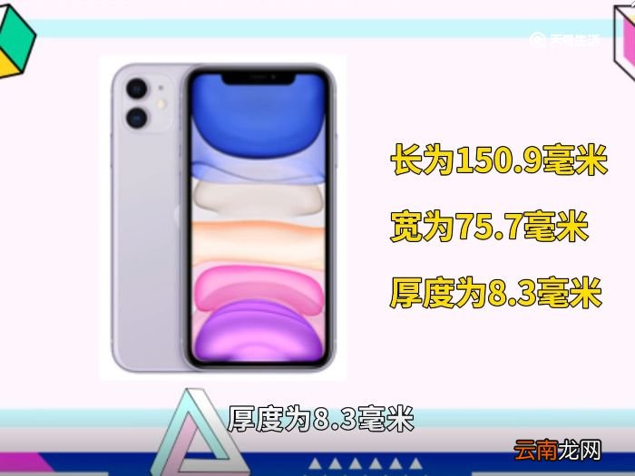 苹果11长宽 苹果11尺寸