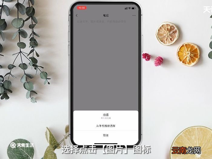 苹果怎么长图截屏聊天记录 苹果长图截屏聊天记录