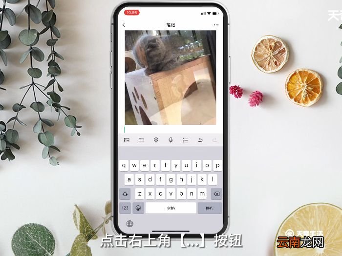 苹果怎么长图截屏聊天记录 苹果长图截屏聊天记录