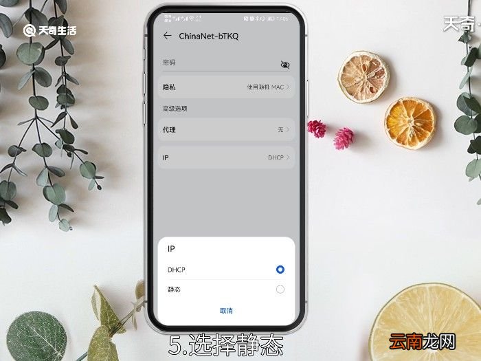 手机服务器地址怎么填 手机服务器地址怎么填呢