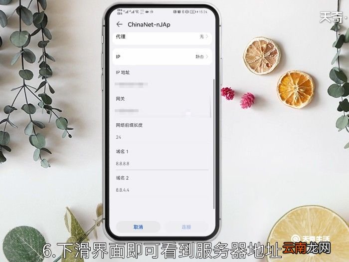 手机服务器地址怎么填 手机服务器地址怎么填呢
